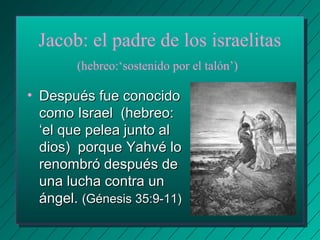 Jacob: el padre de los israelitas 
(hebreo:‘sostenido por el talón’) 
• DDeessppuuééss ffuuee ccoonnoocciiddoo 
ccoommoo IIssrraaeell ((hheebbrreeoo:: 
‘‘eell qquuee ppeelleeaa jjuunnttoo aall 
ddiiooss)) ppoorrqquuee YYaahhvvéé lloo 
rreennoommbbrróó ddeessppuuééss ddee 
uunnaa lluucchhaa ccoonnttrraa uunn 
áánnggeell.. ((GGéénneessiiss 3355::99--1111)) 
 