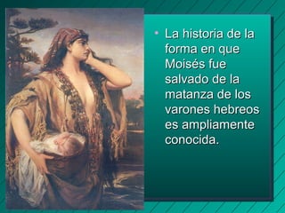 • LLaa hhiissttoorriiaa ddee llaa 
ffoorrmmaa eenn qquuee 
MMooiissééss ffuuee 
ssaallvvaaddoo ddee llaa 
mmaattaannzzaa ddee llooss 
vvaarroonneess hheebbrreeooss 
eess aammpplliiaammeennttee 
ccoonnoocciiddaa.. 
 