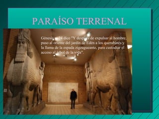 PARAÍSO TERRENAL 
Génesis v. 24 dice "Y después de expulsar al hombre, 
puso al oriente del jardín de Edén a los querubines y 
la llama de la espada zigzagueante, para custodiar el 
acceso al árbol de la vida". 
 