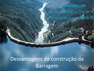Ambientalistas:
               António Pinheiro 7ºA Nº 4
               Carolina Andrade 7ºA Nº6




Desvantagens da construção da
         Barragem
 