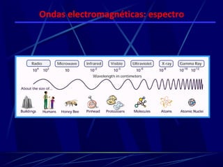 Ondas electromagnéticas: espectro
 