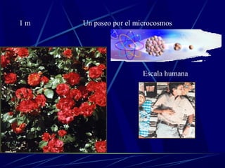 1m   Un paseo por el microcosmos




                       Escala humana
 