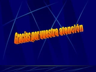 Gracias por vuestra atención 