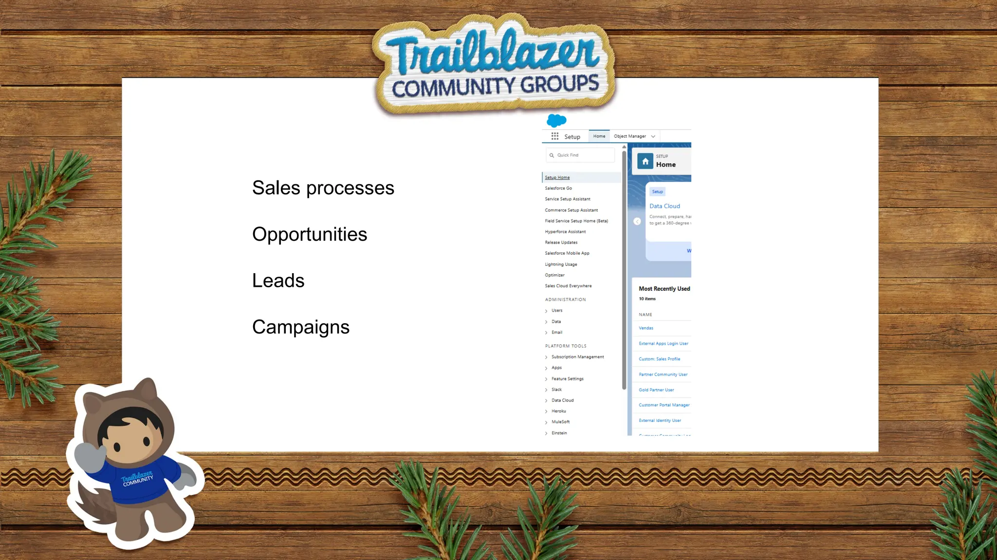 Sales processes
Opportunities
Leads
Campaigns
 