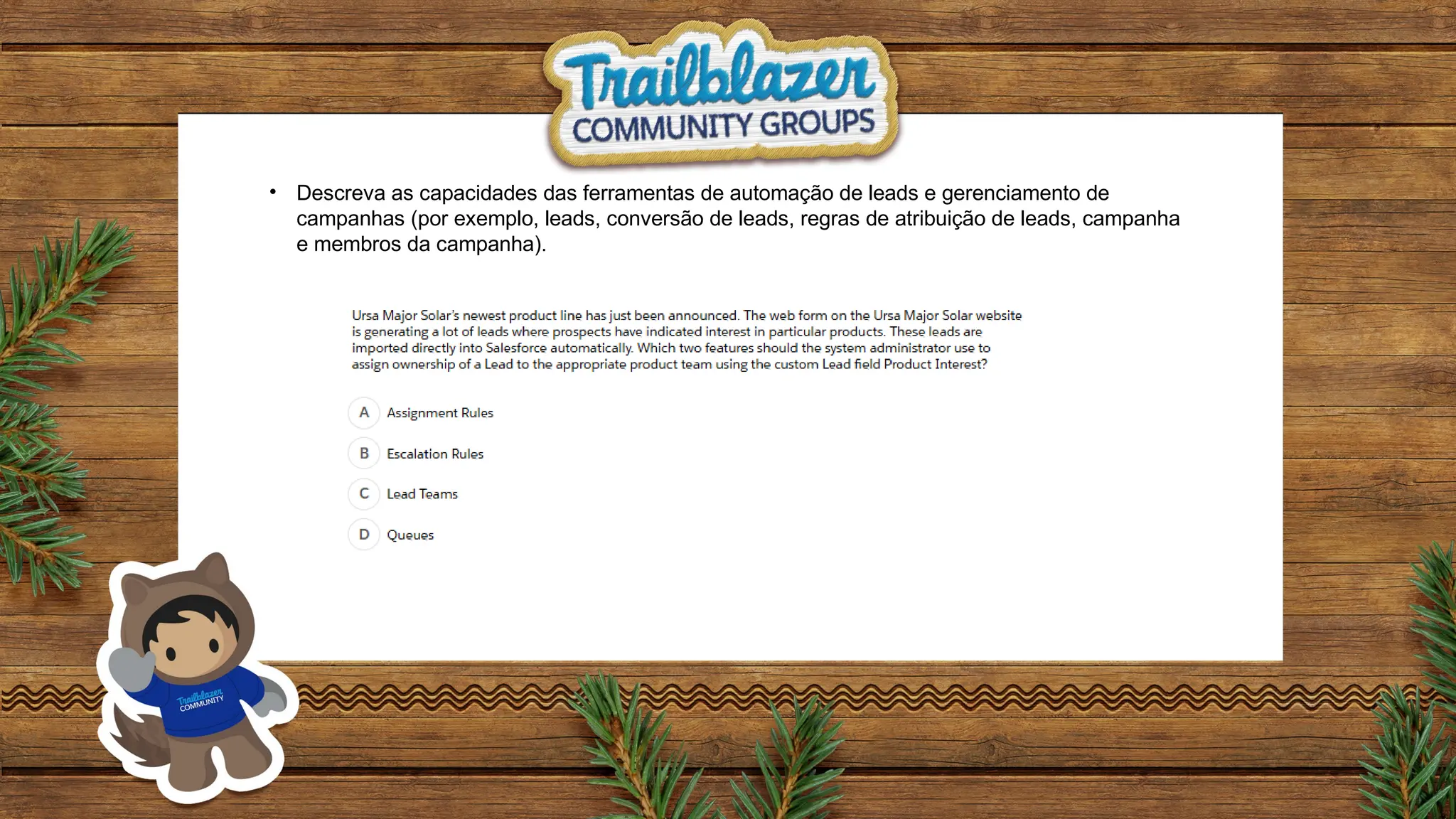 • Descreva as capacidades das ferramentas de automação de leads e gerenciamento de
campanhas (por exemplo, leads, conversão de leads, regras de atribuição de leads, campanha
e membros da campanha).
 