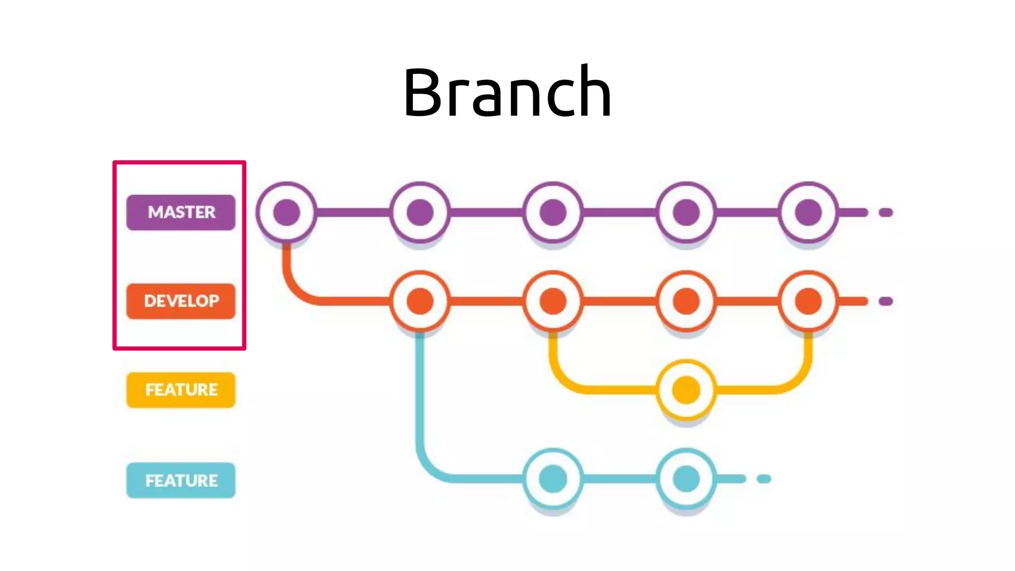Branch
 