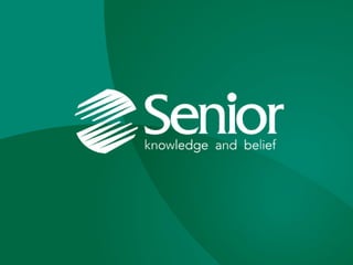 Helton Andrade, 2013
Desvendando o eSocial
 