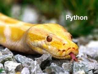 Desvendando o python