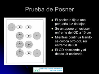 Desviaciones verticales mm [modo de compatibilidad] | PDF