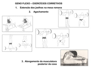 GENO FLEXO – EXERCÍCIOS CORRETIVOS
1.   Extensão dos joelhos na mesa romana
            2.   Agachamento




      3. Alongamento da musculatura
                   posterior da coxa
 