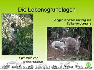 Die Lebensgrundlagen Sammeln von Waldprodukten Ziegen sind ein Beitrag zur Selbstversorgung 