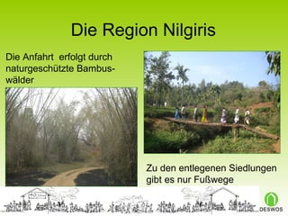 Die Region Nilgiris Die Anfahrt  erfolgt durch naturgeschützte Bambus- wälder Zu den entlegenen Siedlungen gibt es nur Fußwege  