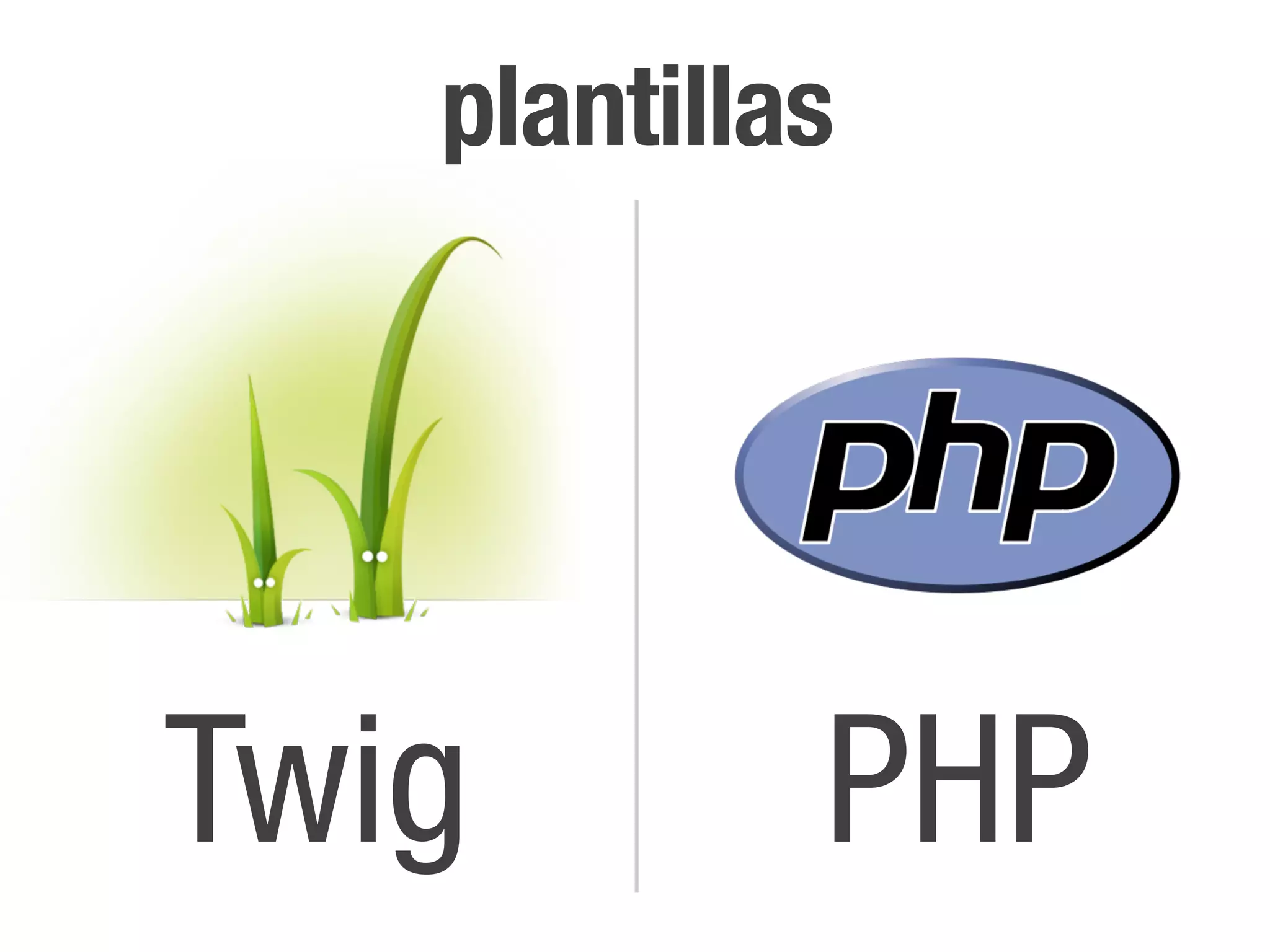 plantillas




Twig        PHP
 