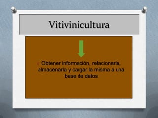 Vitivinicultura
O Obtener información, relacionarla,
almacenarla y cargar la misma a una
base de datos
