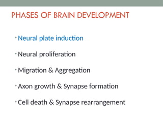 Neural Development Brain Detail Development of nervous system by Dr. Rabia Inam Gandapore.pptx