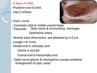 DETAILED ANATOMY OF ORBIT WITH ITS SURROUNDINGS | PPTX