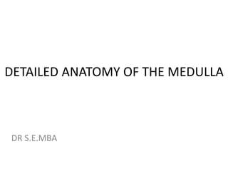 DETAILED ANATOMY OF THE MEDULLA
DR S.E.MBA
 