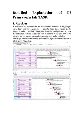 Activity Program Primavera Detailed Explanation of P6 Primavera Functions.docx