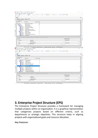 Detailed Explanation of P6 Primavera Functions.docx