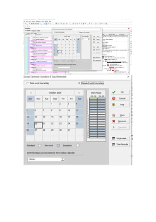 Detailed Explanation of P6 Primavera Functions.docx