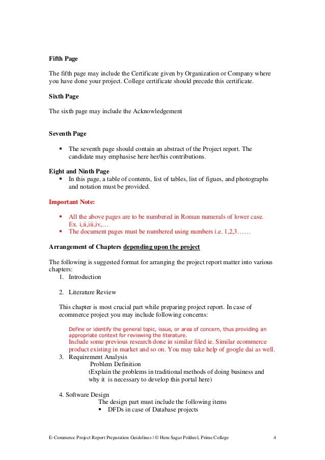 Detailed format for Ecommerce project report BBA