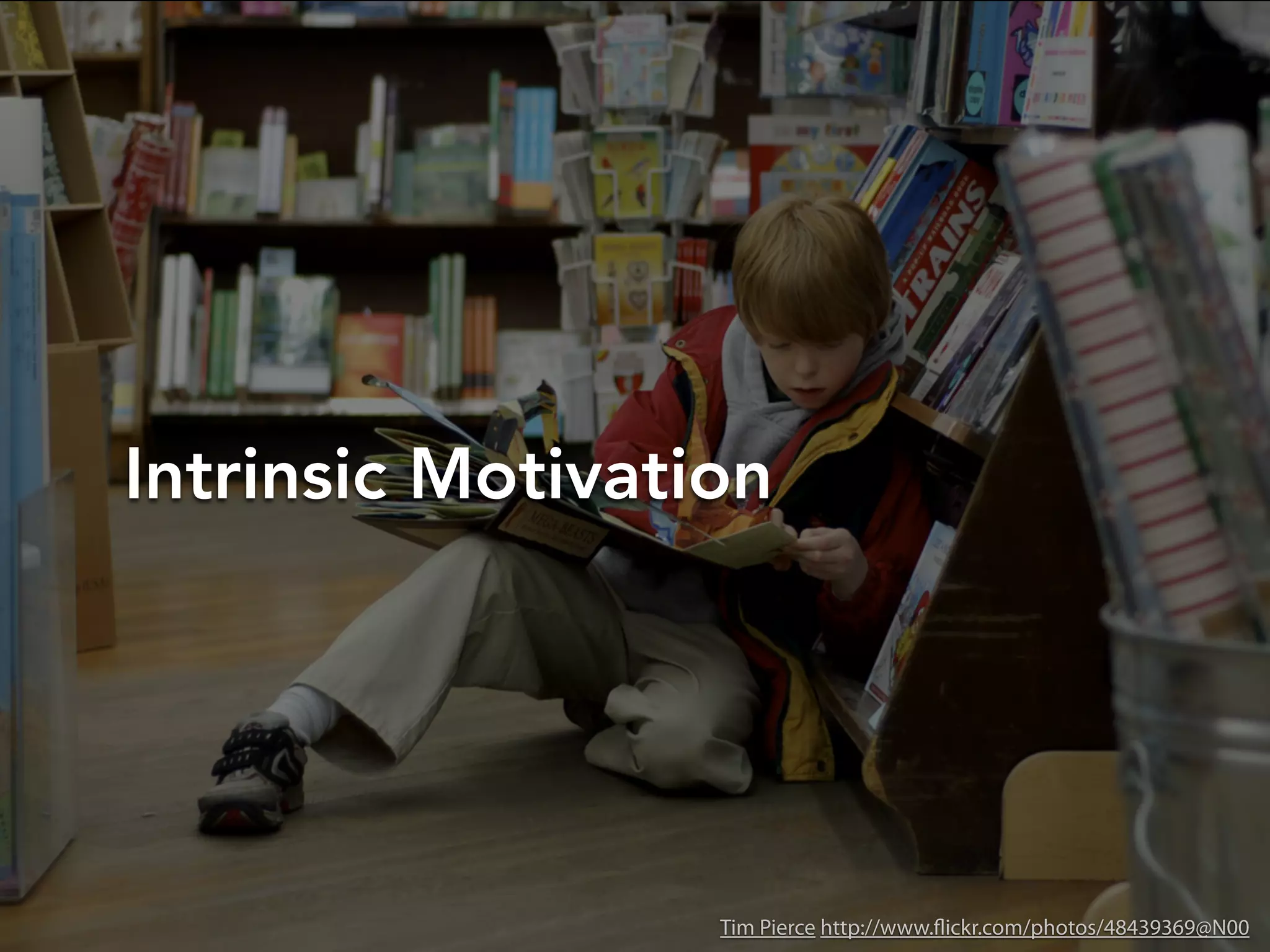Intrinsic Motivation
Tim Pierce http://www.flickr.com/photos/48439369@N00
 