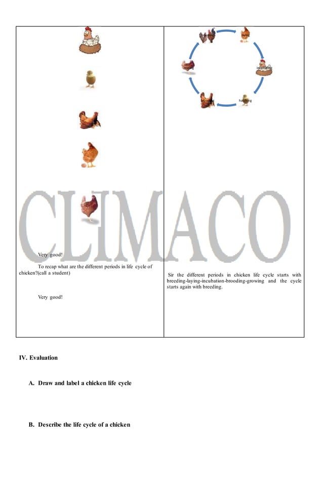 Detailed lesson plan in Animal Production PDF