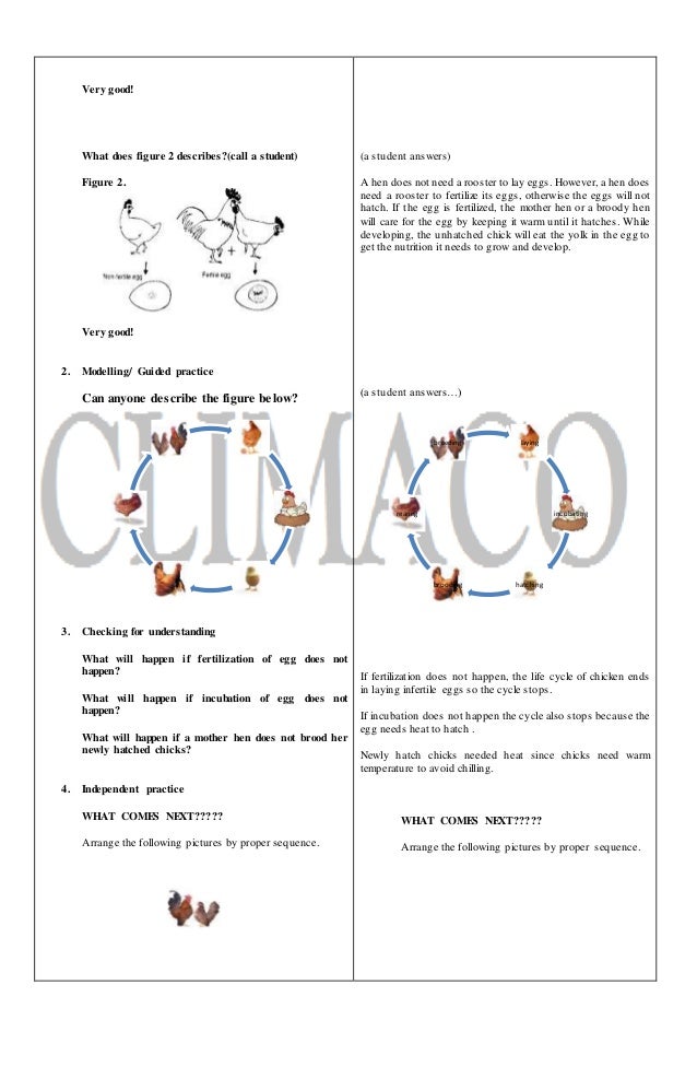 Detailed lesson plan in Animal Production