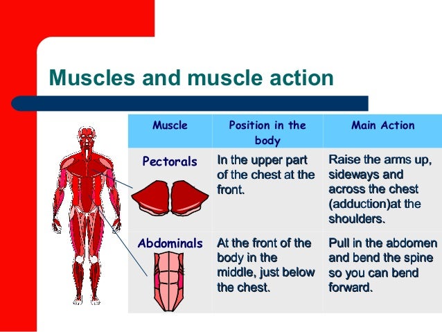 Detailed powerpoint all topics part 2 excellent