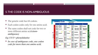 DETAILED REPORT ON GENETIC CODE – Detailed Report on Codons, Wobble ...