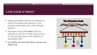 Triple Code Structure DETAILED REPORT ON GENETIC CODE – Detailed Report on Codons, Wobble ...