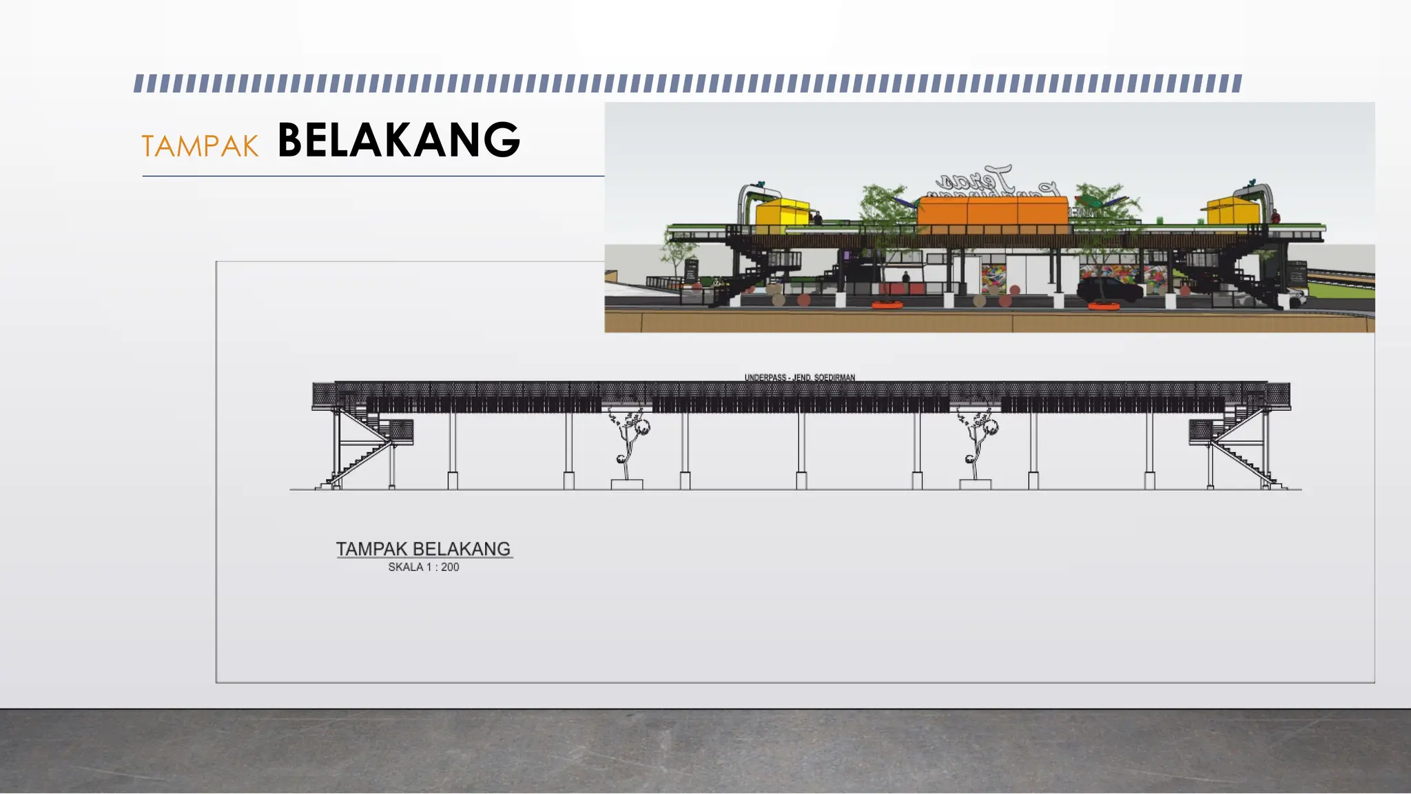 TAMPAK BELAKANG
 