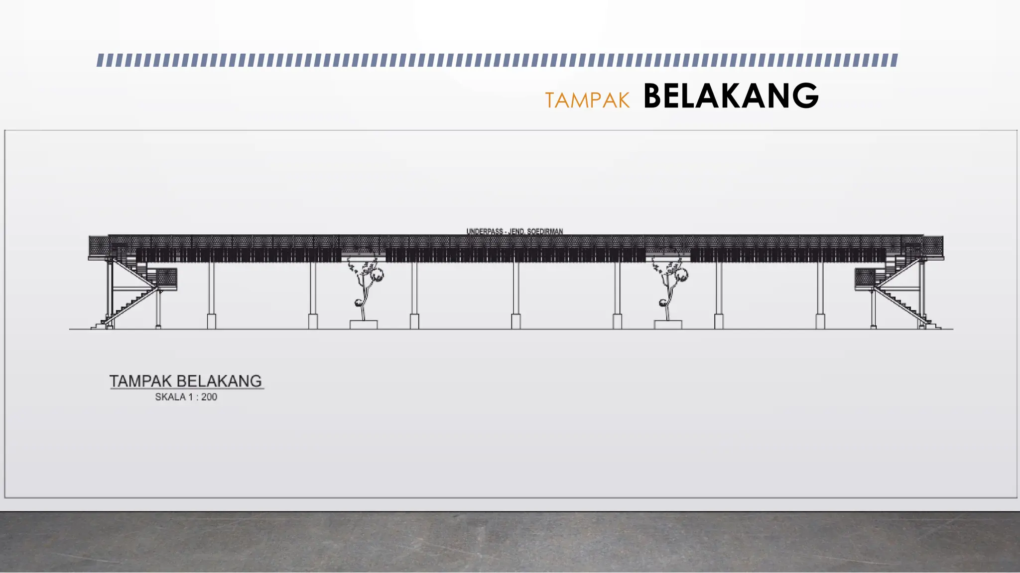 TAMPAK BELAKANG
 