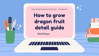 How to grow
dragon fruit
detail guide
SIGNUPTRENDINGNATURE.COM " PRESENTS"
Red Pitaya
 