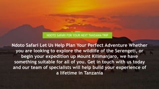 Ndoto Safari Let Us Help Plan Your Perfect Adventure Whether
you are looking to explore the wildlife of the Serengeti, or
begin your expedition up Mount Kilimanjaro, we have
something suitable for all of you. Get in touch with us today
and our team of specialists will help build your experience of
a lifetime in Tanzania
NDOTO SAFARI FOR YOUR NEXT TANZANIA TRIP
 