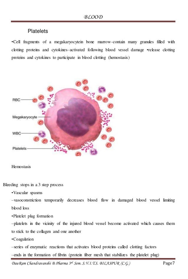 what are the components of blood briefly describe each