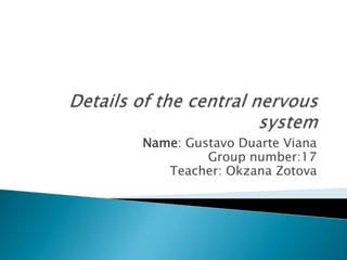Name: Gustavo Duarte Viana
         Group number:17
   Teacher: Okzana Zotova
 