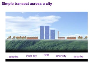 Simple transect across a city CBD inner city inner city suburbs suburbs 