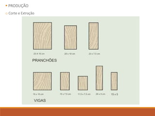  PRODUÇÃO
o Corte e Extração
 