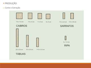  PRODUÇÃO
o Corte e Extração
 