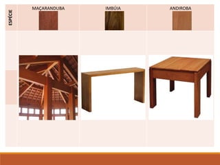ESPÉCIE MAÇARANDUBA IMBÚIA ANDIROBA
 