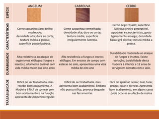 ESPÉCIE ANGELIM CABREUVA CEDROCARACTERÍSTICAS
Cerne castanho claro; brilho
moderado;
densidade alta; dura ao corte;
textura média a grossa;
superfície pouco lustrosa.
Cerne castanhoa vermelhado;
densidade alta; dura ao corte;
textura média; superfície
irregularmente lustrosa.
Cerne bege rosado; superfície
lustrosa; cheiro perceptível,
agradável e característico, gosto
ligeiramente amargo; densidade
baixa; grã direita; textura média a
grossa.
DURABILIDADE
Alta resistência ao ataque de
organismos xilófagos (fungos e
insetos); altamente durável com
vida média maior que oito anos
Alta resistência a fungos e insetos
xilófagos. Em ensaios de campo com
estacas no solo, apresentou uma vida
média de oito ano
Durabilidade moderada ao ataque
de fungos e insetos. Existe
variação; durabilidade desta
madeira é inferior a 12 anos de
serviço em contato com o solo.
TRABABILHIDADE
Difícil de ser trabalhada, mas
recebe bom acabamento. A
Madeira é fácil de tornear com
bom acabamento e na furação
apresenta desempenho regular.
Difícil de ser trabalhada, mas
apresenta bom acabamento. Embora
não possua sílica, provoca desgaste
nas ferramentas.
Fácil de aplainar, serrar, lixar, furar,
pregar, colar e tornear. Apresenta
bom acabamento, em alguns casos
pode ocorrer exudação de resina
 