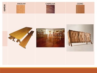ESPÉCIE ANGELIM CABREUVA CEDRO
 
