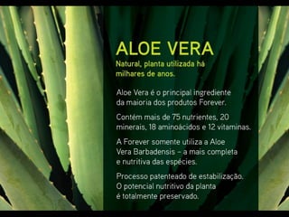 A Oportunidade Forever