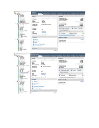 Detalle de servidores virtuales sap