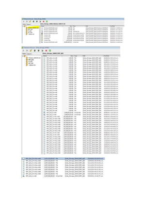 Detalle de servidores virtuales sap