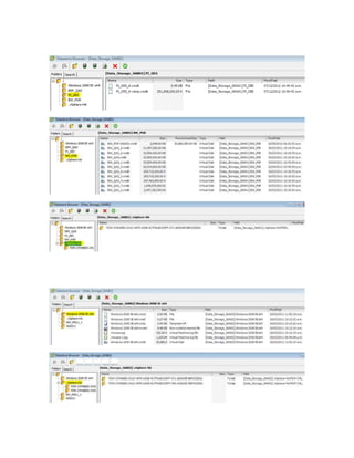 Detalle de servidores virtuales sap