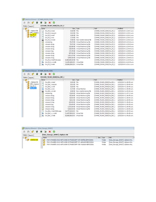 Detalle de servidores virtuales sap