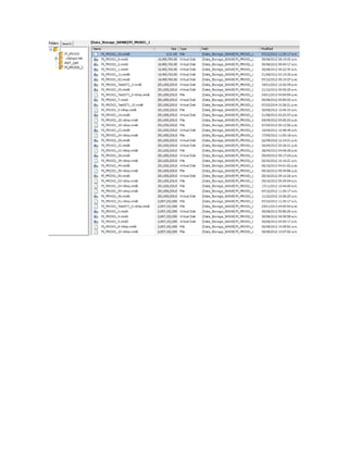 Detalle de servidores virtuales sap