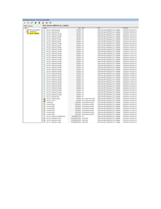 Detalle de servidores virtuales sap